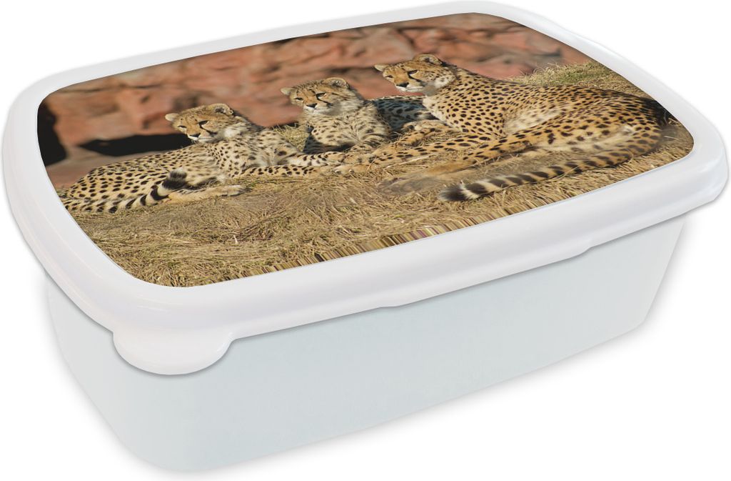 KitchenYeah Lunchbox Brotzeit Brotdose 17x11 cm Gepardenmutter und -junge Kinder Brotzeitdose - Lunch Box - Kinder - Sandwich-Box - Schulbox - Lu...