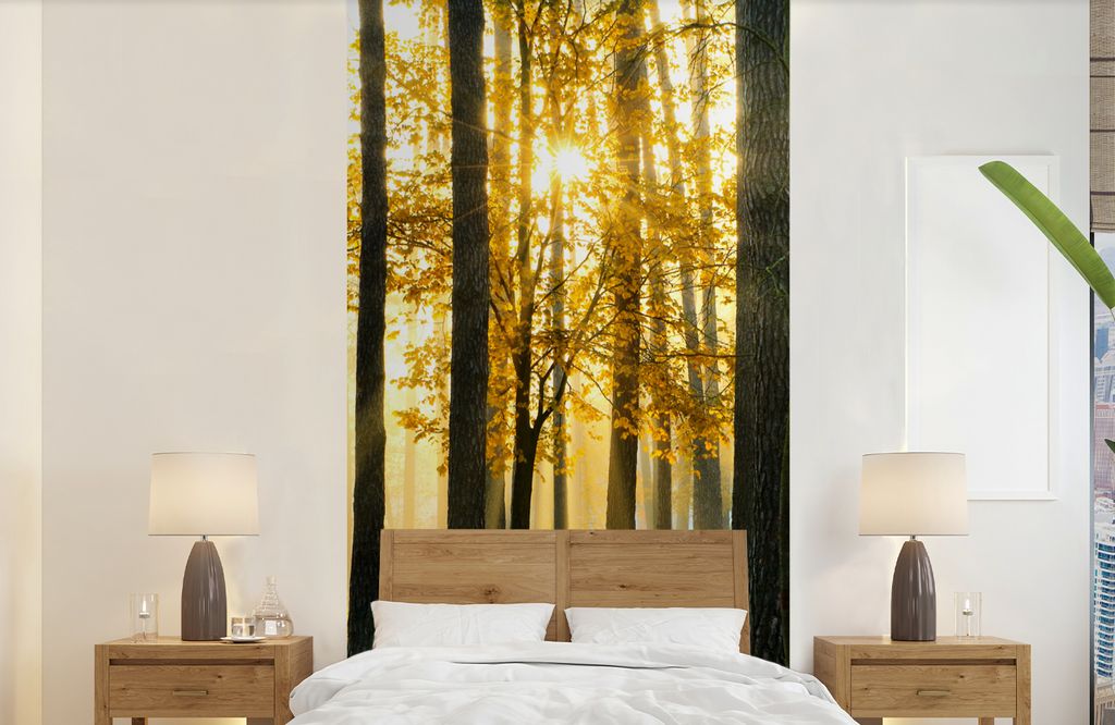 MuchoWow Fototapete für Wohnzimmer oder Schlafzimmer Wandtapete Vinyl Motivtapete Wald - Sonne - Bäume - Gras - Landschaft - Natur - 120x240 cm...