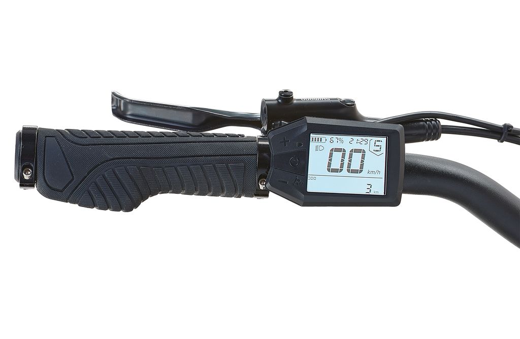 Prophete Entdecker 2.0 Trekking E-Bike 28 Zoll - 360 Wh - Produktbild 4
