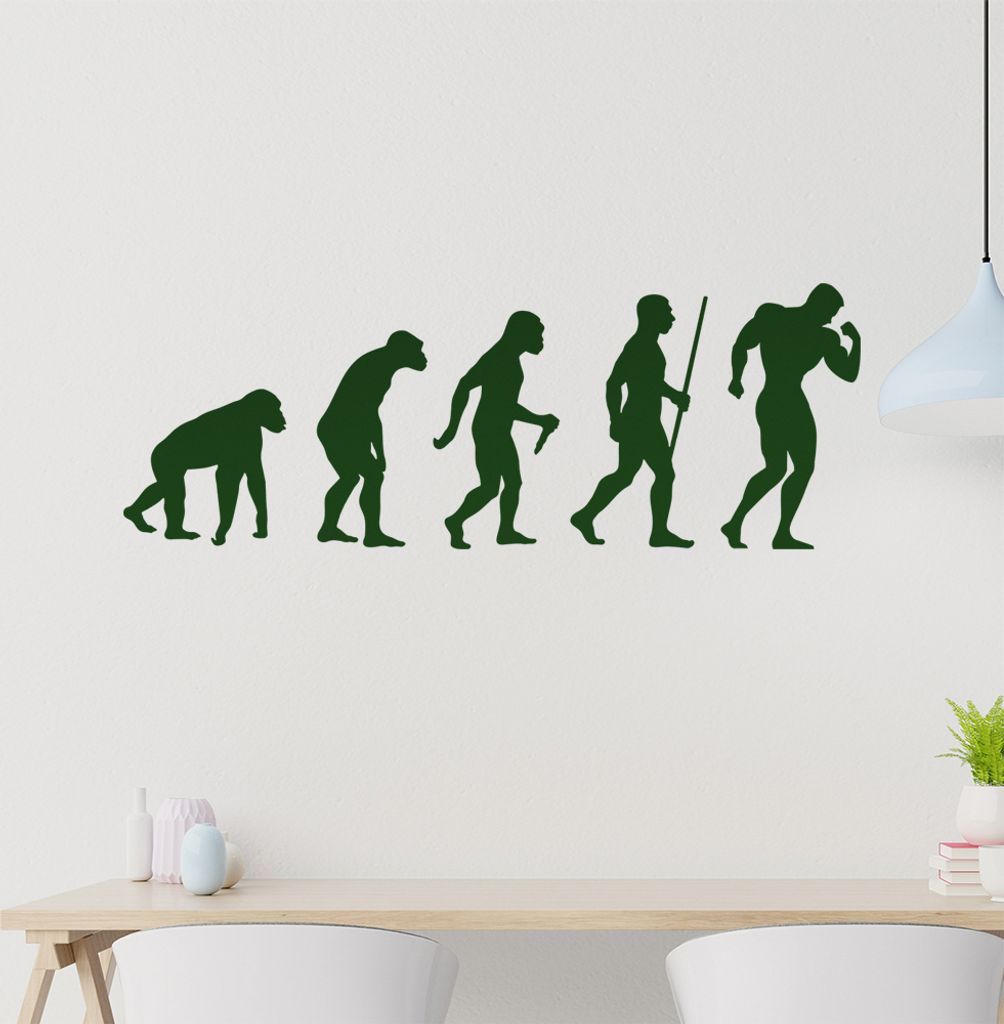 Bodybuilding Evolution Wandtattoo Wandaufkleber Wall Sticker - Dekoration, Küche, Wohnzimmer, Schlafzimmer, Badezimmer