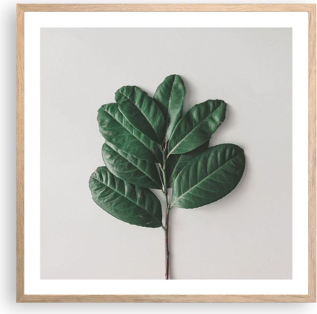 Gerahmtes Poster - Rahmen in heller Eiche - Blätter Pflanzen Botanik - 60x60 cm - Wand Bild - Wanddeko - Wandbilder - Kunstposter - Wandposter - B...