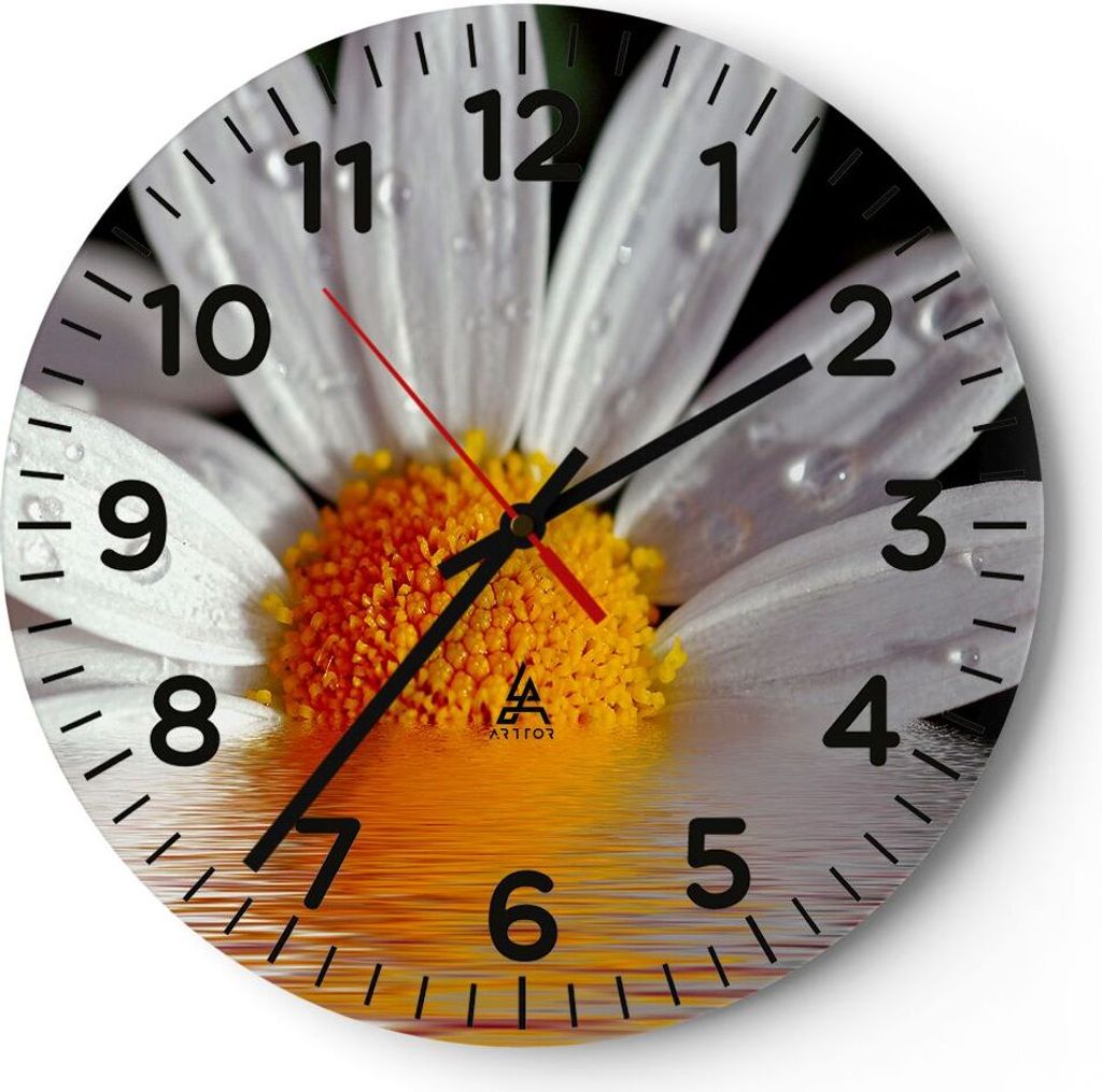 Wanduhr - Rund - Glasuhr - Kraut Kamille Blume Wasser - 30x30cm - Schleichendes Uhrwerk - Lautlos - zum Aufhängen bereit - Dekoration Modern - Wan...