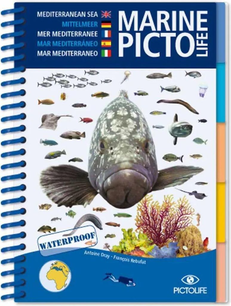 Pictolife Mediterranean Marine Führer Blau  Blau One Size Zdjęcie produktu 
