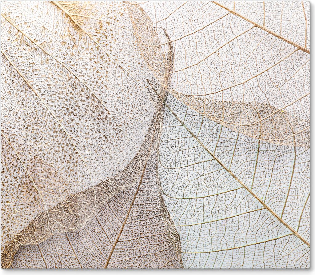 DEQORI Herdabdeckplatte Glas 1-tlg 'Zarte Blattstrukturen' Abdeckplatte Küche Glaskeramikkochfeld Herd