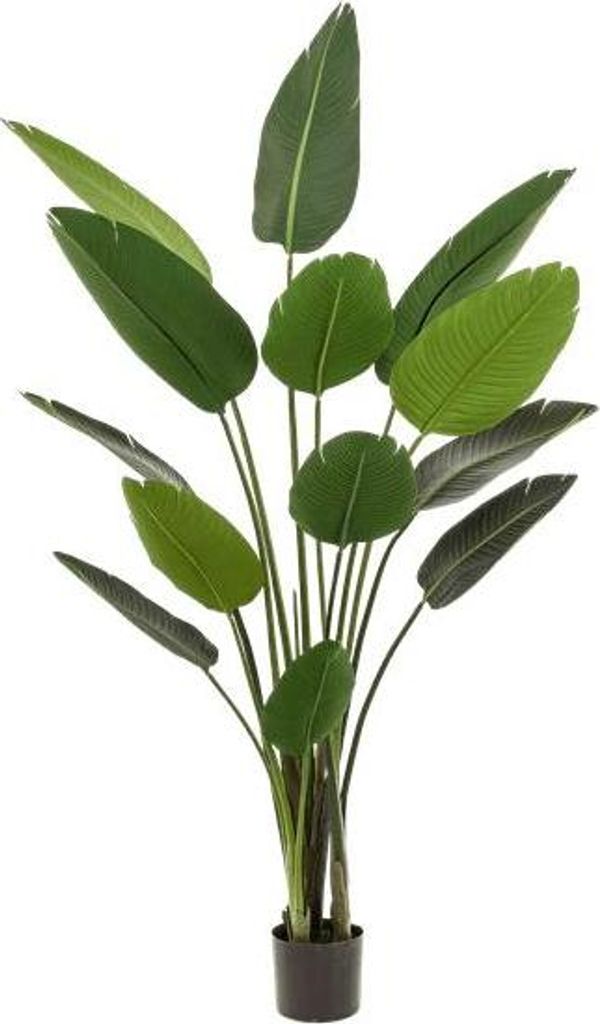 Künstliche Strelitzia Nicolai 190cm Paradiesvogelblume Kunstpflanze künstliche Pflanze