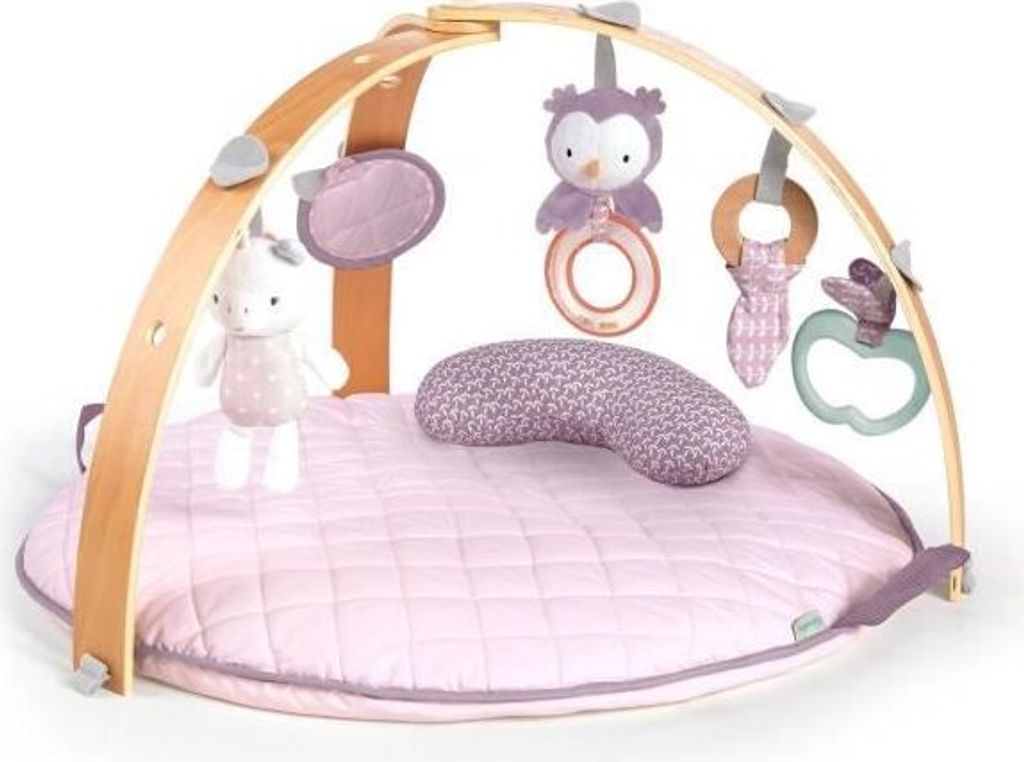 INGENUITY Activity Gym Gemütliches Spot ™ Reversible Down Produktbild 