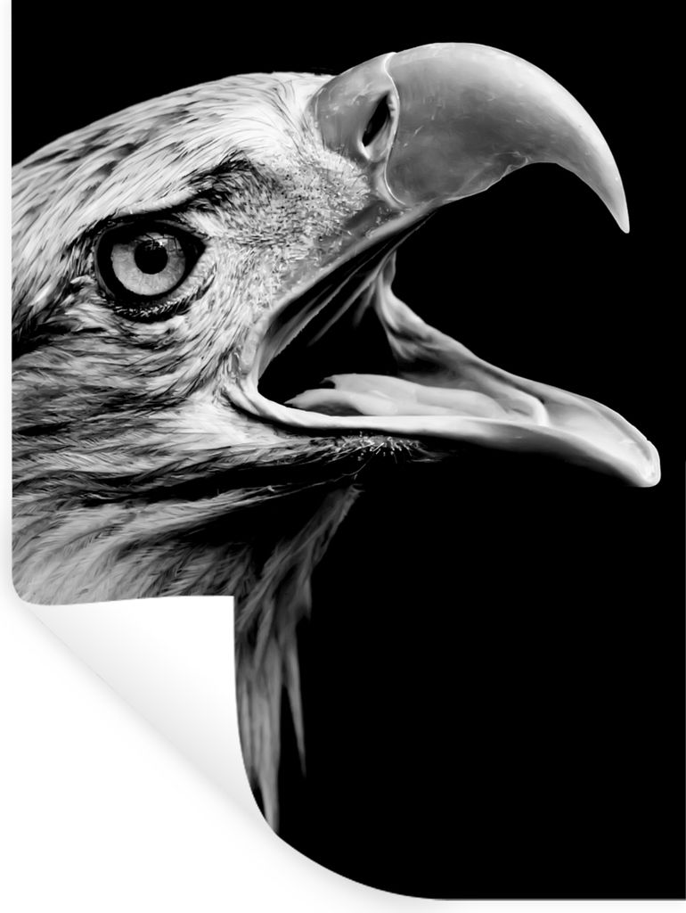 MuchoWow Wandtattoo Wandsticker Wandaufkleber Adler - Porträt - Raubvögel - Schwarz - Weiß - Vogel 120x160 cm Selbstklebend und Repositionierb...