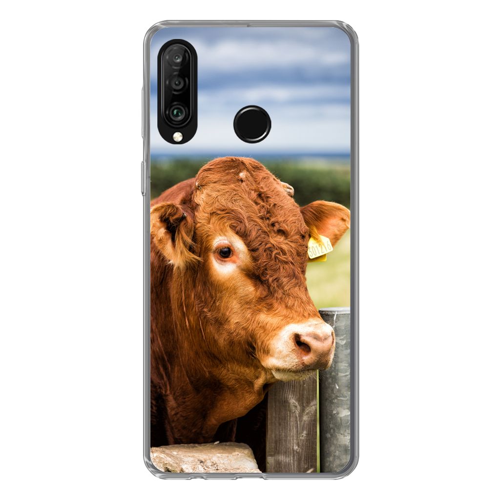 MuchoWow Handyhülle Schutzhülle Hülle für Huawei P30 Lite Schottischer Highlander - Berg - Zaun Silikon Softcase Handy Hülle - Handyhülle