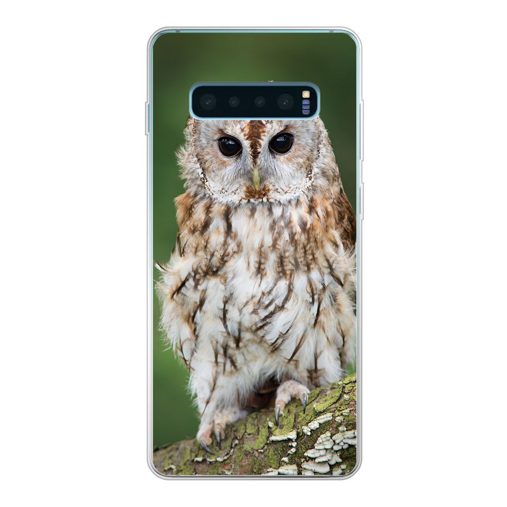 MuchoWow Handyhülle Schutzhülle Hülle für Samsung Galaxy S10 Plus Braune Eule sitzt auf einem Baum Silikon Softcase Handy Hülle - Schutzhülle
