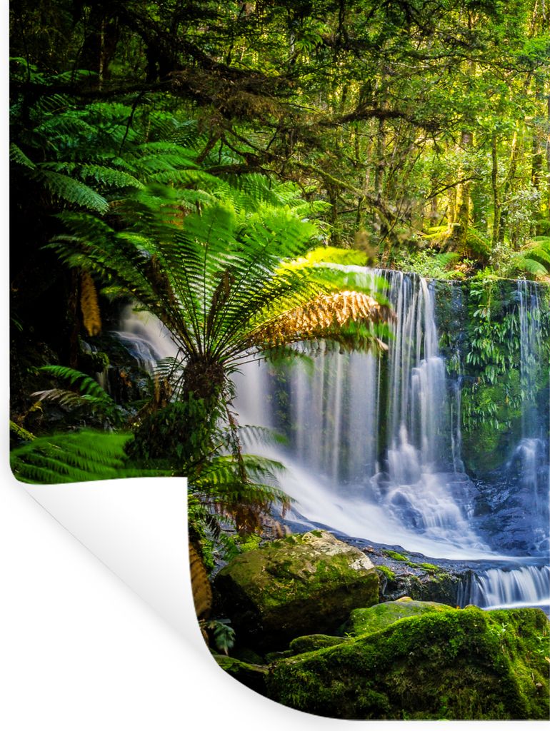 MuchoWow Wandtattoo Wandsticker Wandaufkleber Dschungel - Wasserfall - Australien - Pflanzen - Natur 60x80 cm Selbstklebend und Repositionierbar ...