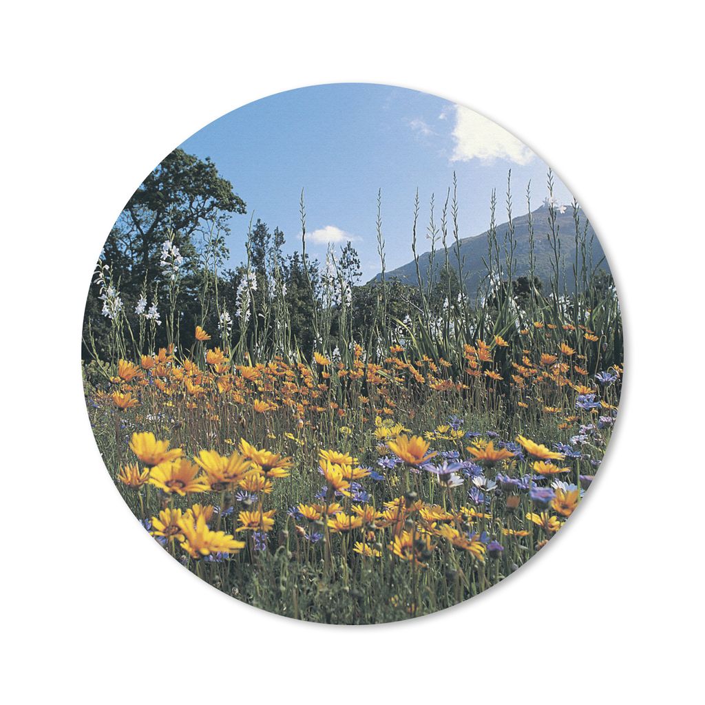 MuchoWow Mauspad Mousepad Blumen - Natur - Farbe 50x50 cm - Mousepads - Maus Mat - Pad - Mausunterlage - Vinyl