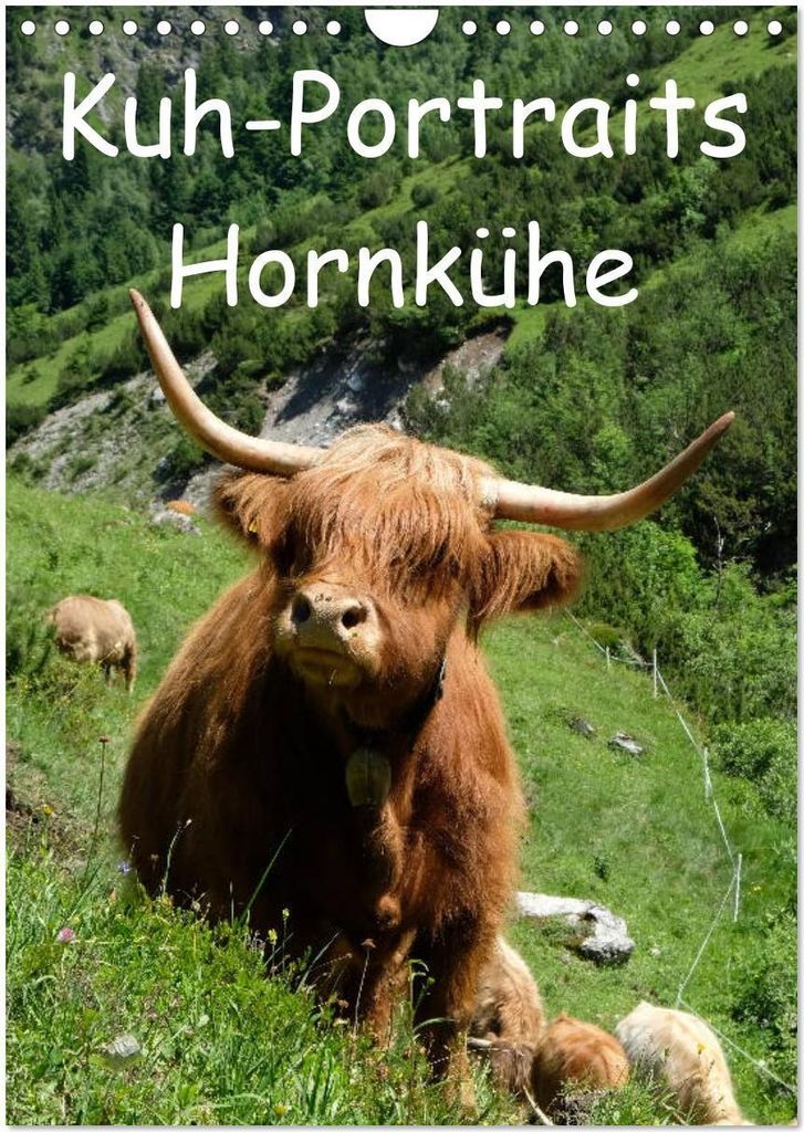 Kuhportraits Hornkühe (Wandkalender 2026 DIN A4 hoch), CALVENDO Monatskalender