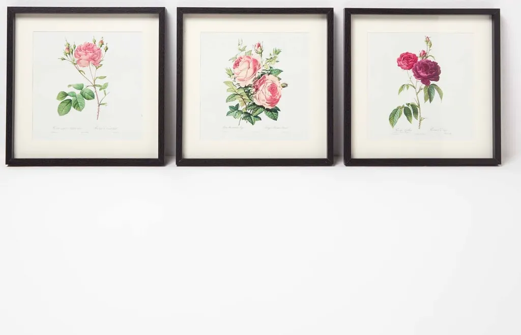 Tableau Rose Lot de 3 Cadres Premium 30x30 cm pour Salon et Chambre