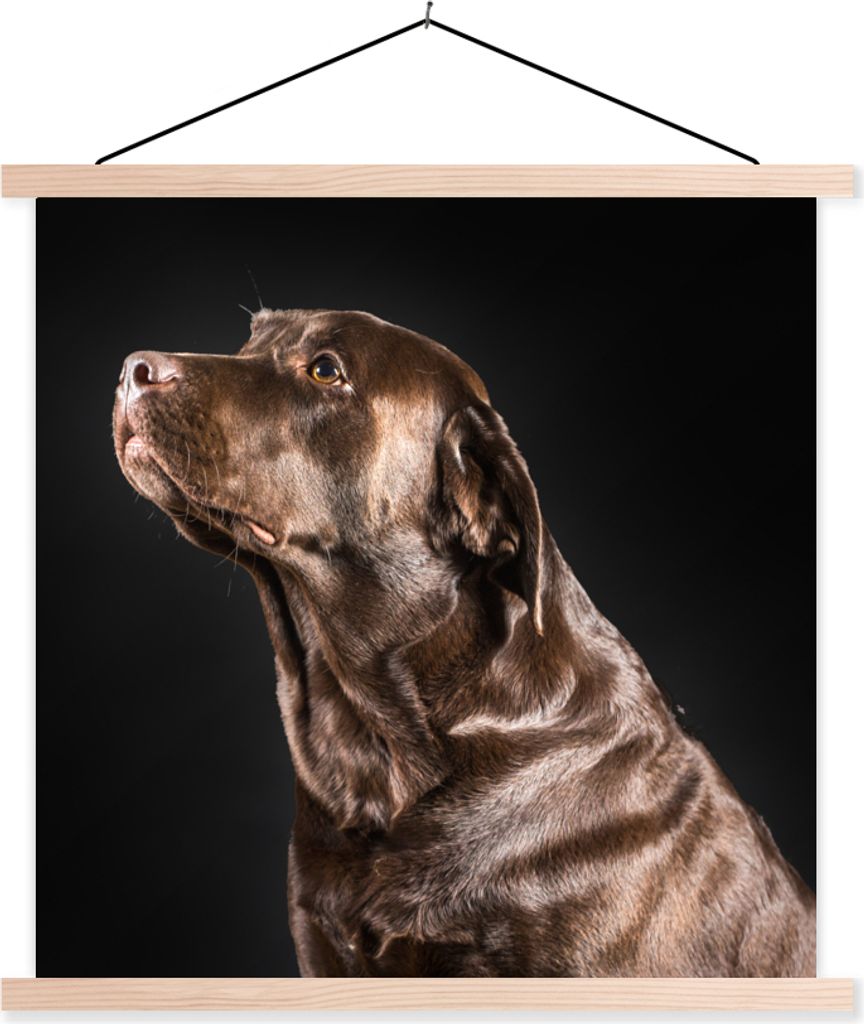 MuchoWow Textilposter Hund - Braun - Porträt 60x60 cm mit holzfarbenen Rahmen - Wanddekoration