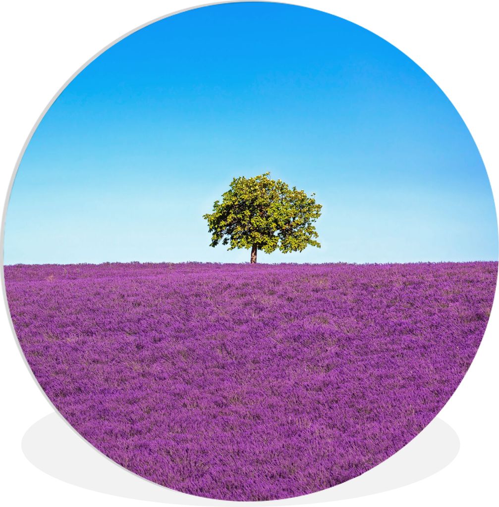 MuchoWow Rundes Wandbild - Runde Bilder Baum - Lila - Himmel - Lavendel Ø 60 cm Kreis Wanddekoration Kunststoff - Wandkreis - Wandschmuck - Wand...