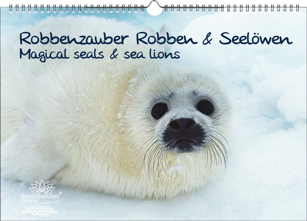Robbenzauber DIN A3 Immerwährender Kalender Robben und Seelöwen - Seelenzauber