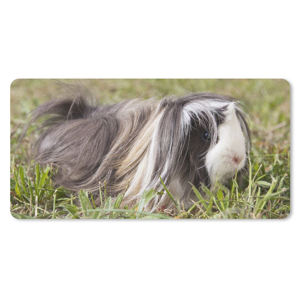MuchoWow Schreibtischunterlage Langhaar-Meerschweinchen 80x40 cm - XXL Mauspad - Gaming Mauspad