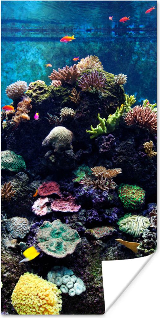 MuchoWow Poster Aquarium mit tropischen Fischen und Korallen 40x80 cm - Dekoration