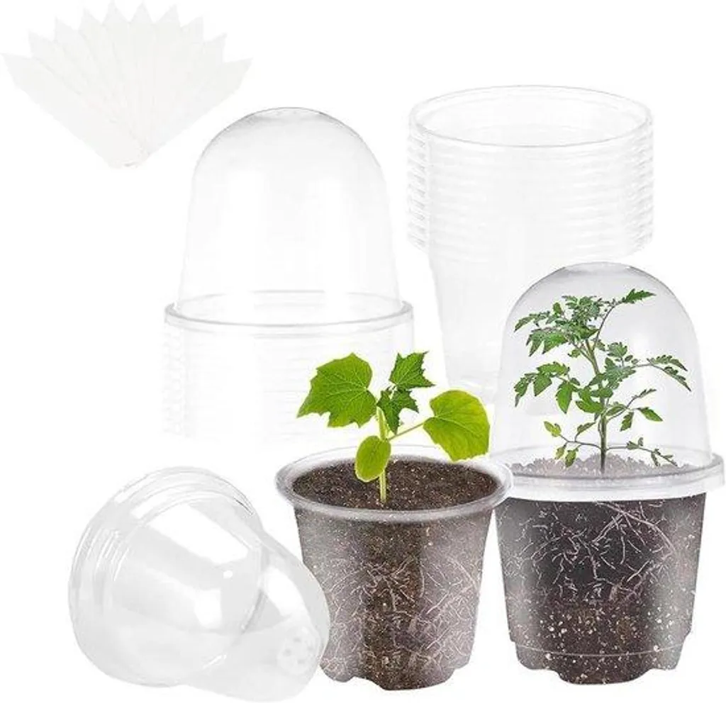 10 pots transparents 10cm anti-buée et 10 tiges de support pour plantes