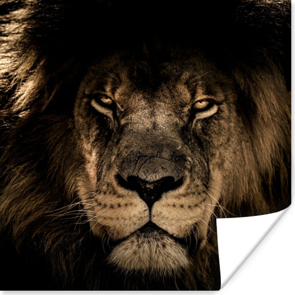 MuchoWow Poster Löwe - Tiere - Schwarz - Porträt 30x30 cm - Wandposter - Printing