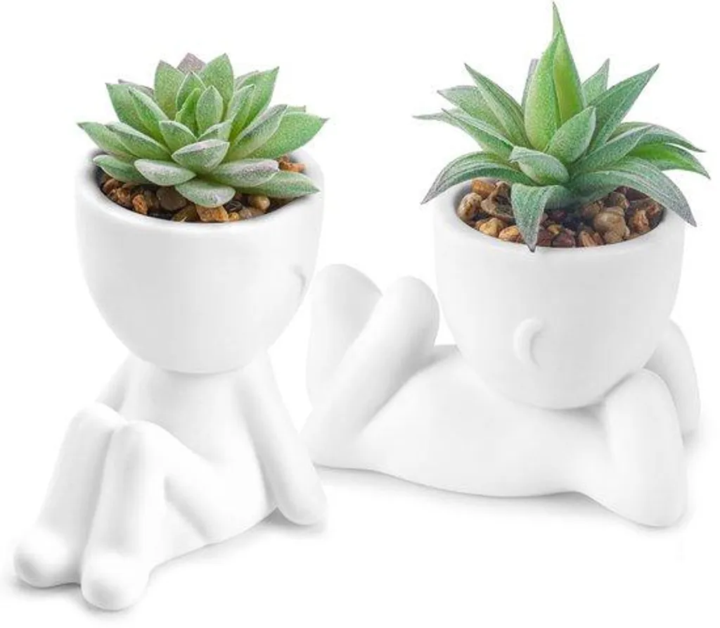 Lot de 2 plantes grasses artificielles en pot blanc pour déco murale