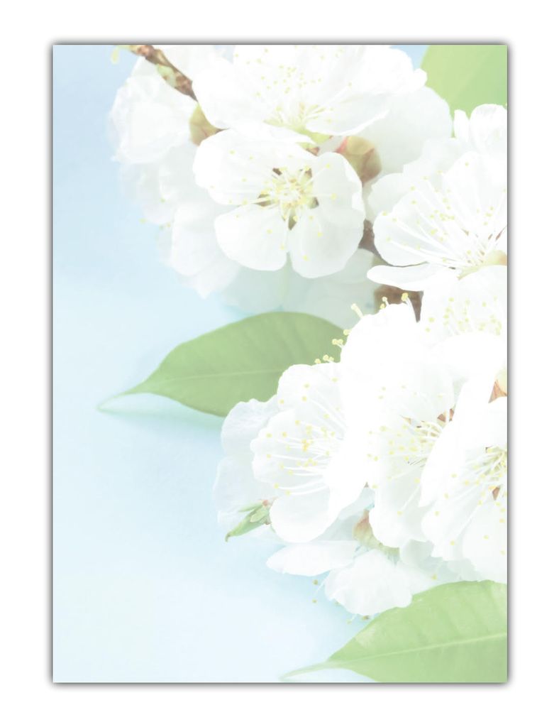 Ostern-5226 6x5 Blatt Motivpapier Briefpapier Mix DIN A4 Hase Blumen Ostereier 