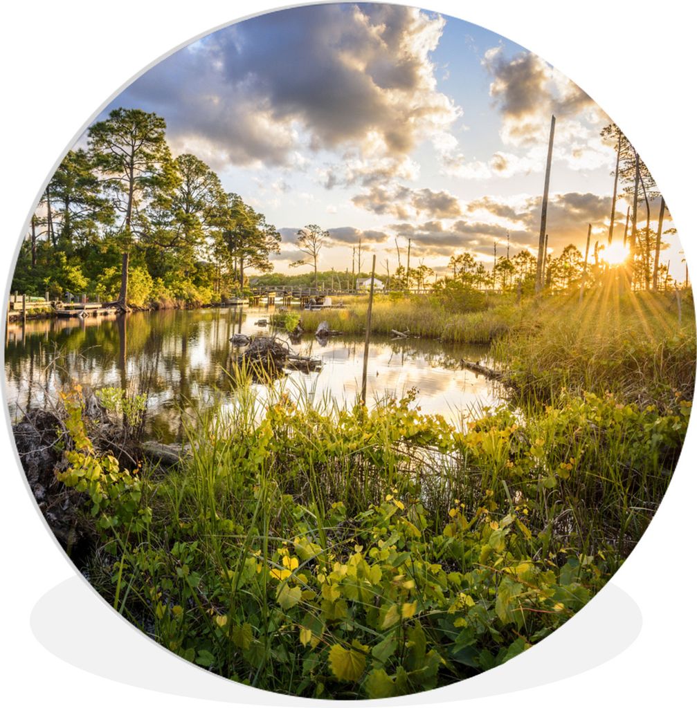 MuchoWow Rundes Wandbild - Runde Bilder Florida - Natur - Sonne Ø 30 cm Kreis Wanddekoration Kunststoff - Wandkreis - Wandschmuck - Schlafzimmer...