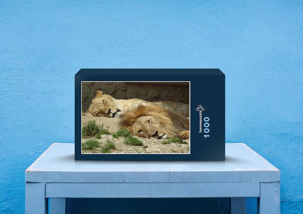 hansepuzzle 79550 - Löwe Puzzle, 1000 Teile, Tierwelt, 60,0 x 46,0cm mit hochwertiger Aufbewahrung, Kartonbox und wiederverschließbarem Beutel
