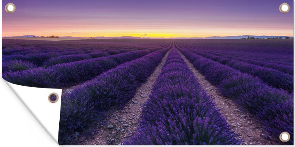 MuchoWow 80x40 cm Outdoor-Poster Gartendeko Sichtschutz Garten Poster für den Garten Ein Lavendelfeld in der Abenddämmerung