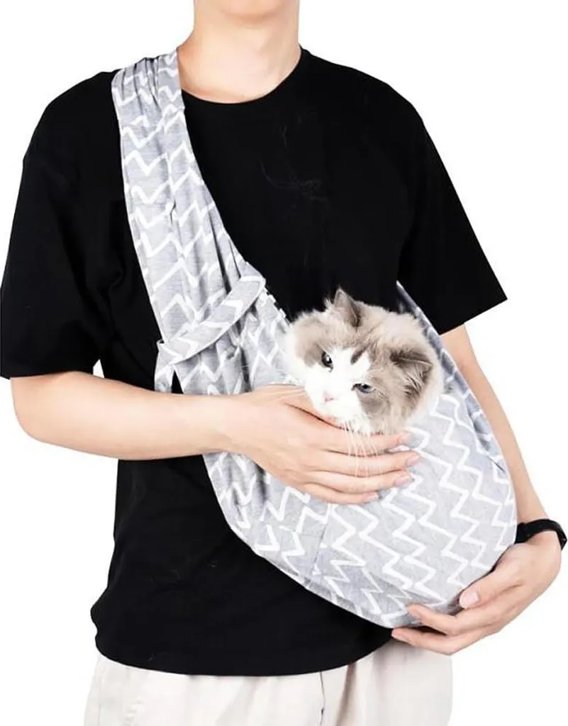 Sac de transport pliable pour chien - Fini l'encombrement avec ce gris