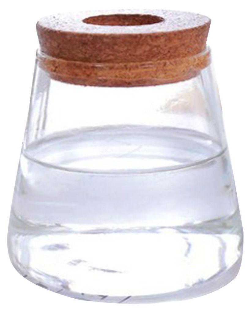 Vermehrungsstation aus Glas mit Holzdeckel, Tischvase für Hydrokulturpflanzen, Luftpflanzen und Stecklinge