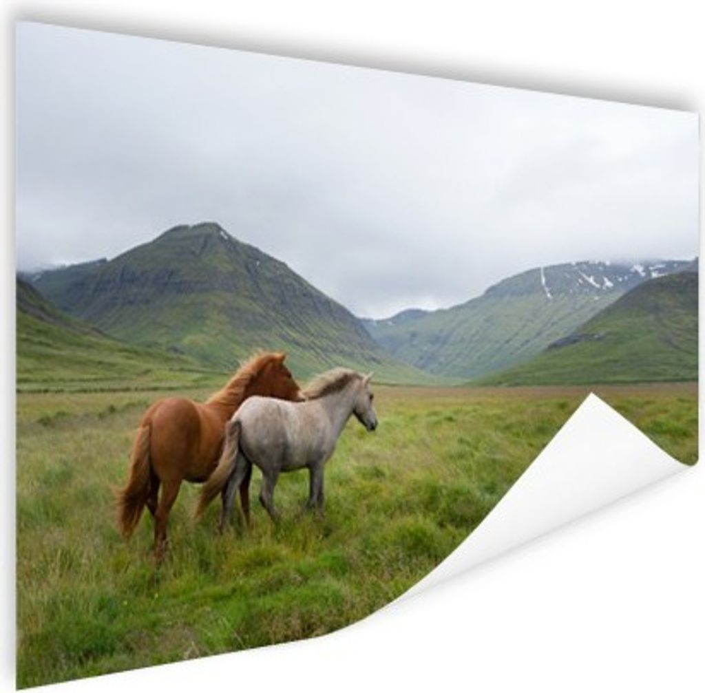 MuchoWow Poster Pferde - Gras - Berge 120x80 cm - Bilder
