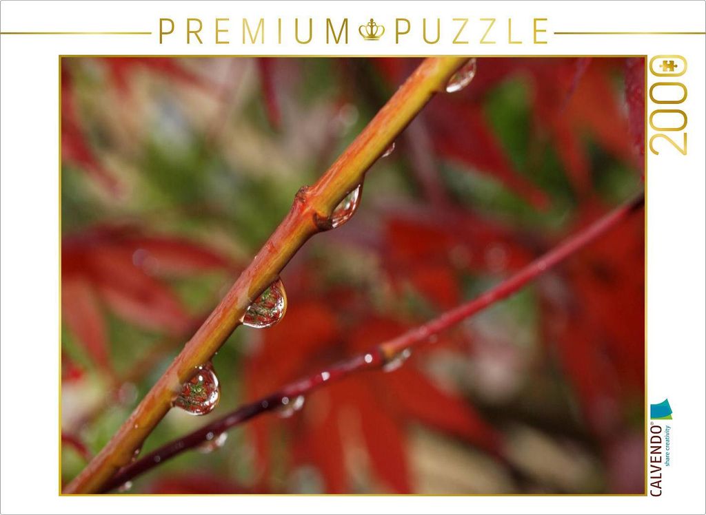 CALVENDO Puzzle Tropfen auf Ahornzweig 2000 Teile Puzzle quer | 2000 Teile Lege-Größe 90x67cm Foto-Puzzle für glückliche Stunden