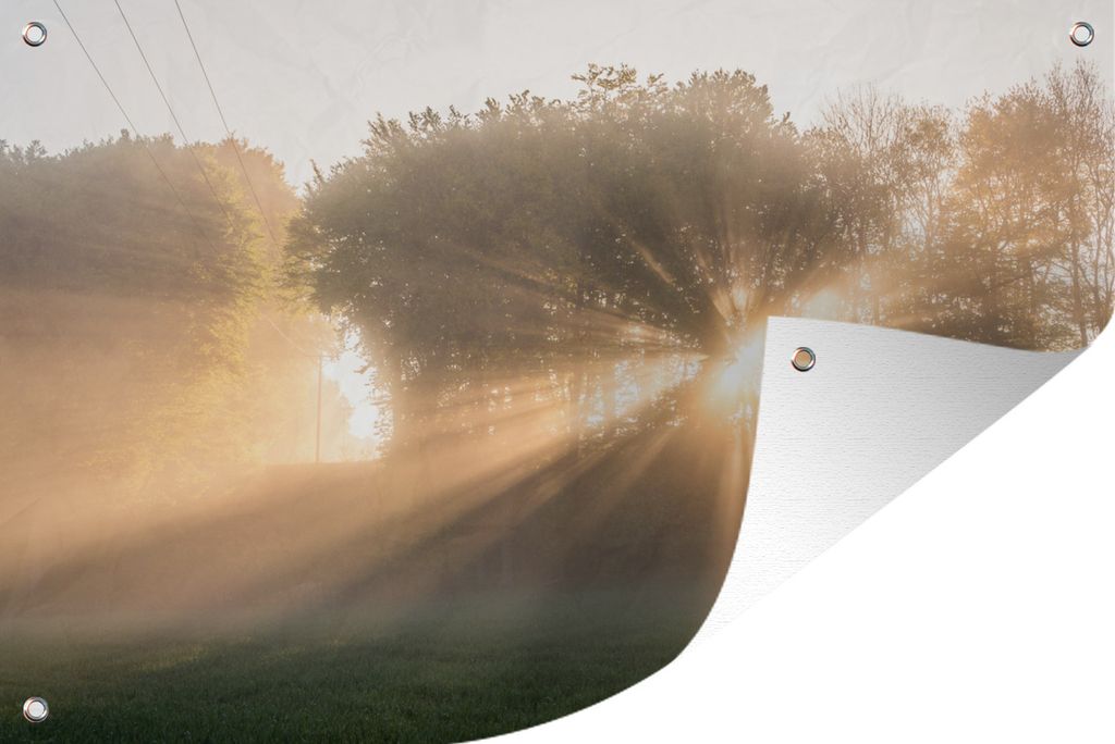 MuchoWow 60x40 cm Outdoor-Poster Gartendeko Sichtschutz Garten Poster für den Garten Sonnenstrahlen durch den Morgennebel im Söderåsen-Nationa...