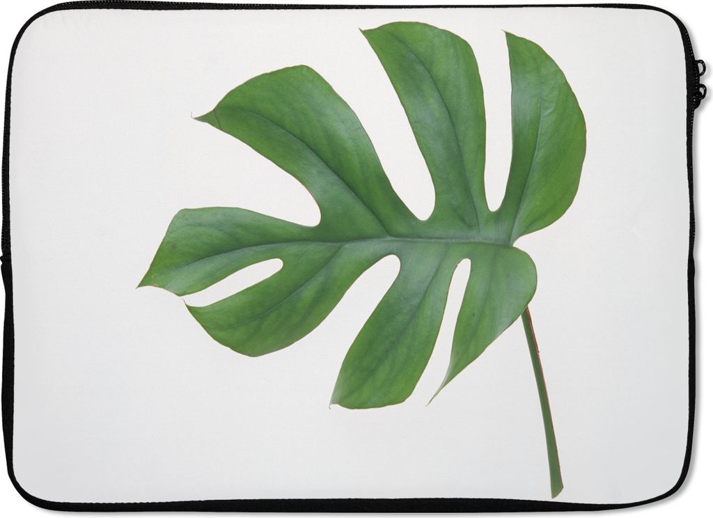 MuchoWow Laptop Hülle 13 Zoll Botanisches Blatt auf weißem Hintergrund Laptoptasche - Laptophülle - Sleeve - Rundumschutz