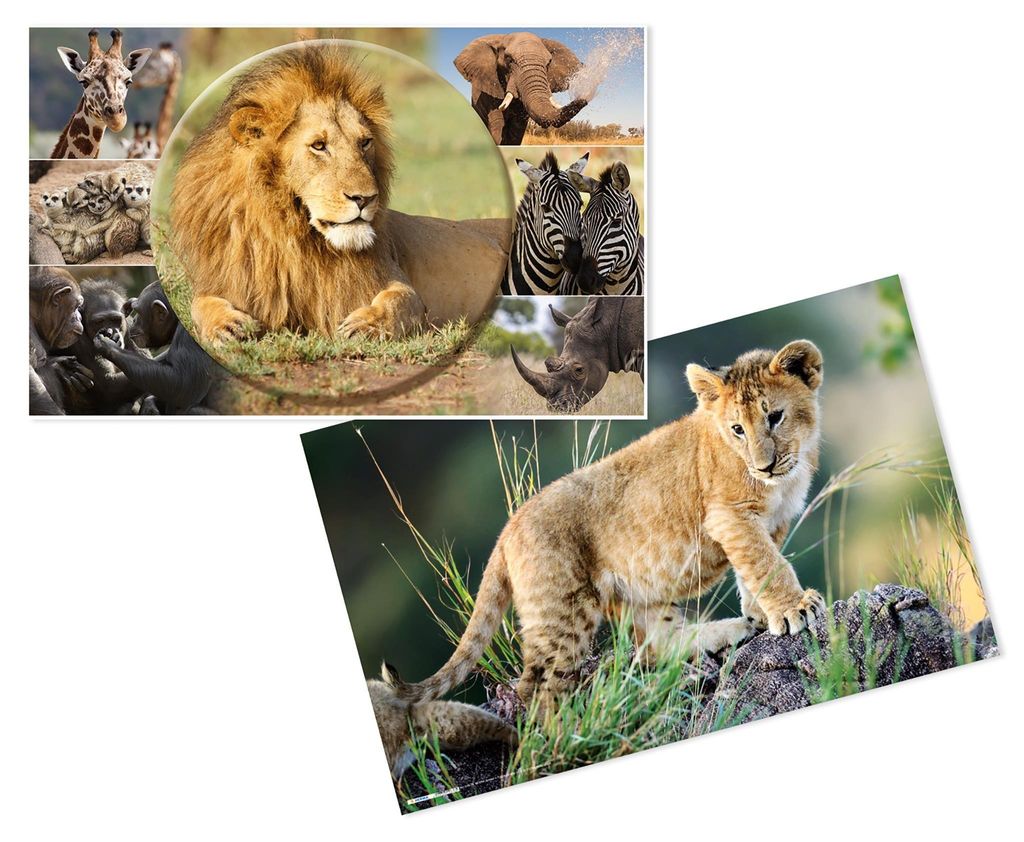 HERMA Schreibunterlage "Afrika Tiere" (B)550 x (H)350 mm