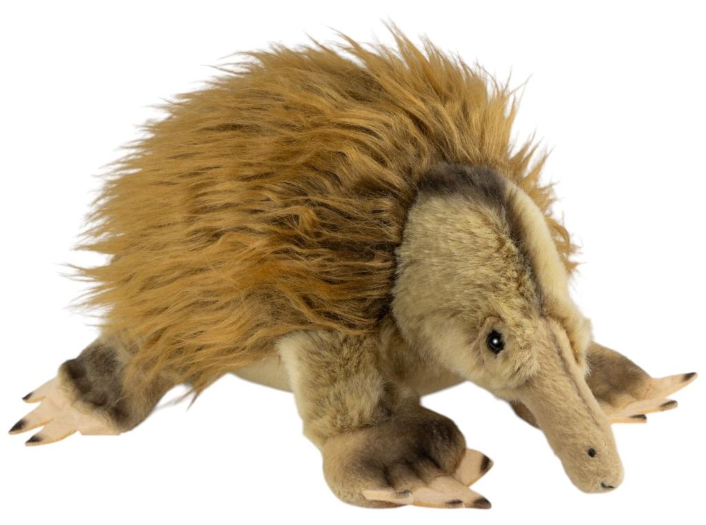 Carl Dick Ameisenigel, Echidna ca. 24cm Plüschtier, Stofftier, Kuscheltier 3799