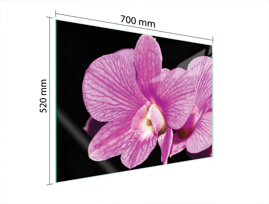 Pannello Protettivo Vetro ESG 70x52 Orchidea - Standard Sicurezza Cucina