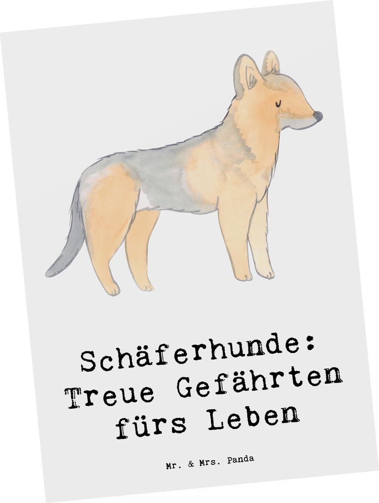 Mr. & Mrs. Panda Postkarte Schäferhund Gefährten - Weiß - Geschenk, bretonische Hunderasse, Grußkarte, treuer Begleiter, Hunderassen Vielfalt, ...