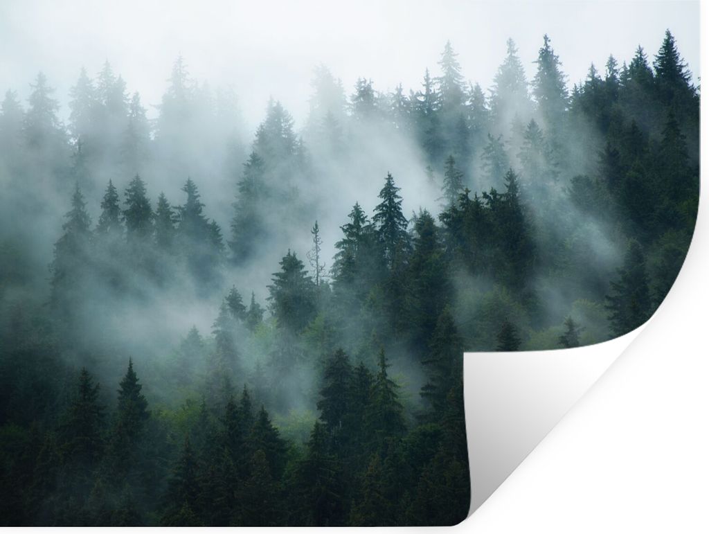 MuchoWow Wandtattoo Wandsticker Wandaufkleber Nebel - Bäume - Wald 160x120 cm Selbstklebend und Repositionierbar - Selbstklebend - Fototapeten