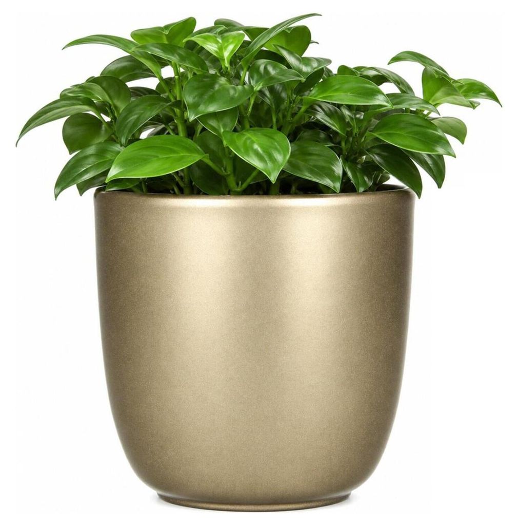 Mica Decorations Blumentopf - gold - Keramik - 19 x 18 cm Produktbild 