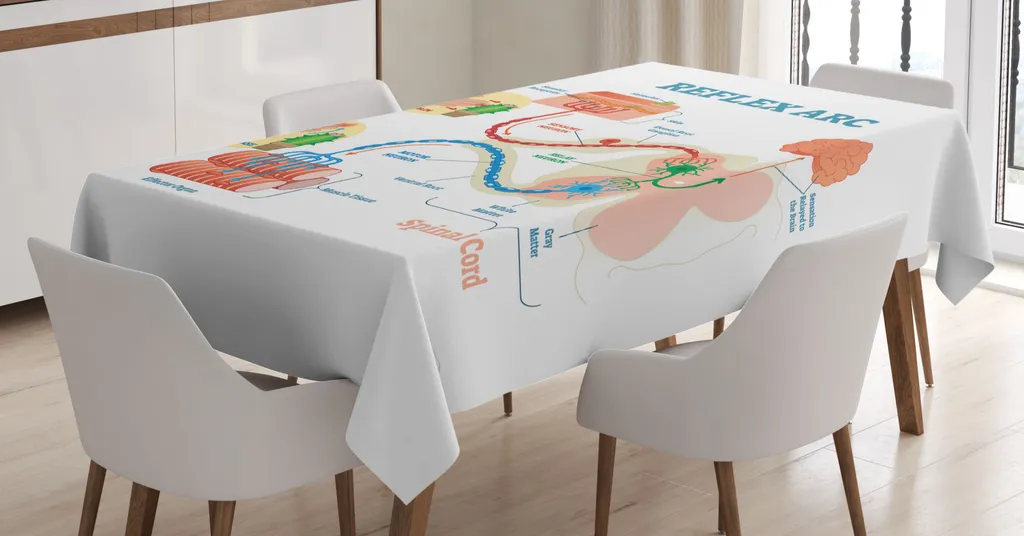 Tovaglia Antimacchia ABAKUHAUS Anatomia - Lavabile 140x240 Blu Pesca