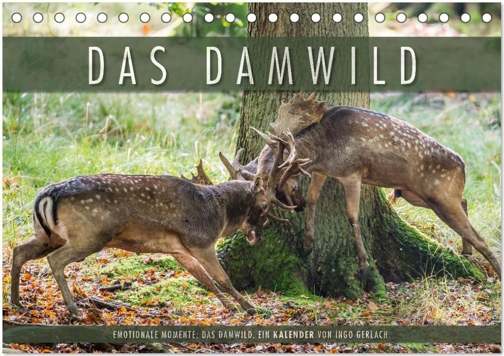 Emotionale Momente: Das Damwild. (Tischkalender 2026 DIN A5 quer), CALVENDO Monatskalender