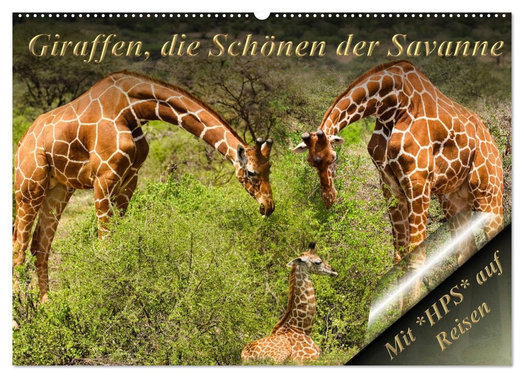 Giraffen, die Schönen der Savanne (Wandkalender 2027 DIN A2 quer), CALVENDO Monatskalender