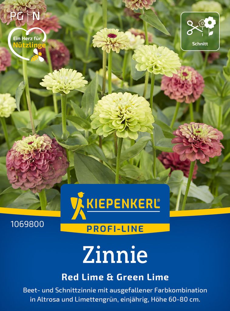 Kiepenkerl Zinniensamen Red Lime und Green Lime Zinnia elegans 20 Pflanzen