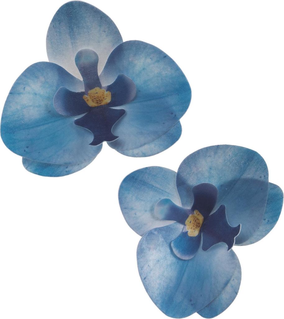 Květy z jedlého papíru orchidej modrá 10ks Obrázek produktu 