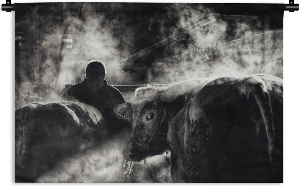 MuchoWow Wandteppich Wandbehang Kühe - Rauch - Schwarz - Weiß 150x100 cm Tapisserie Dekoration Wandtuch - Waschbar - Tapisserien - Wand-Decke