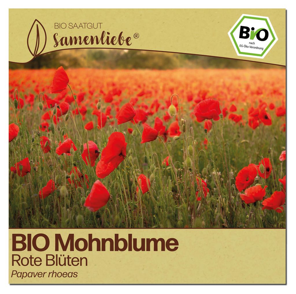 Samenliebe  Mohnblume Samen | Klatschmohn - rot - Produktbild 