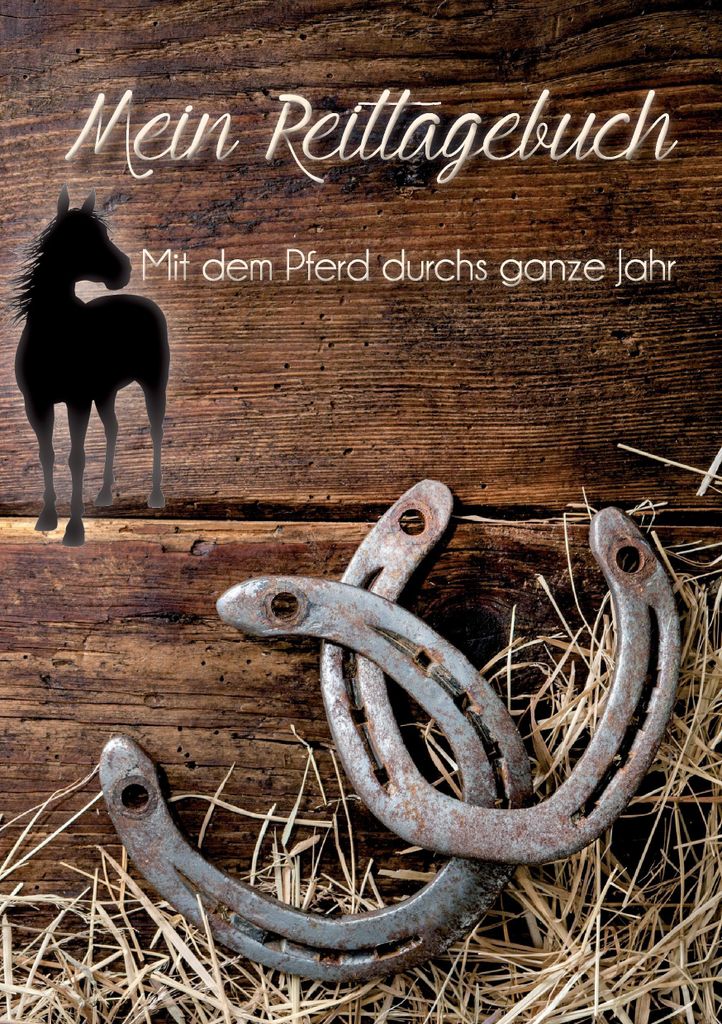 Mein ReittageBook:Mit meinem Pferd durchs ganze Jahr.by Caruso, Noemi New.