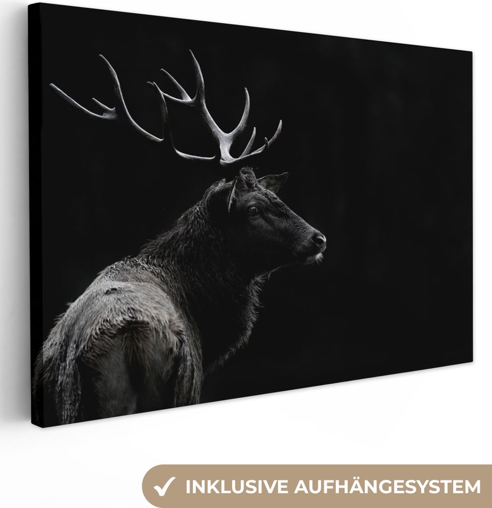 OneMillionCanvasses - Leinwandbilder - 150x100 cm, Hirsch - Schwarz - Porträt - Geweih - Tiere, Wandbilder Kunstdruck Wanddekoration